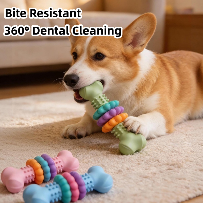 Teeth Cleaning Dog Chew Bone - Dayanıklı TPR Köpek Çiğneme Oyuncağı Kemik