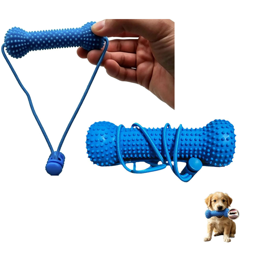 Teeth Cleaning Dog Chew Bone - Köpek Diş Temizleme Çiğneme Oyuncağı Isırmaya