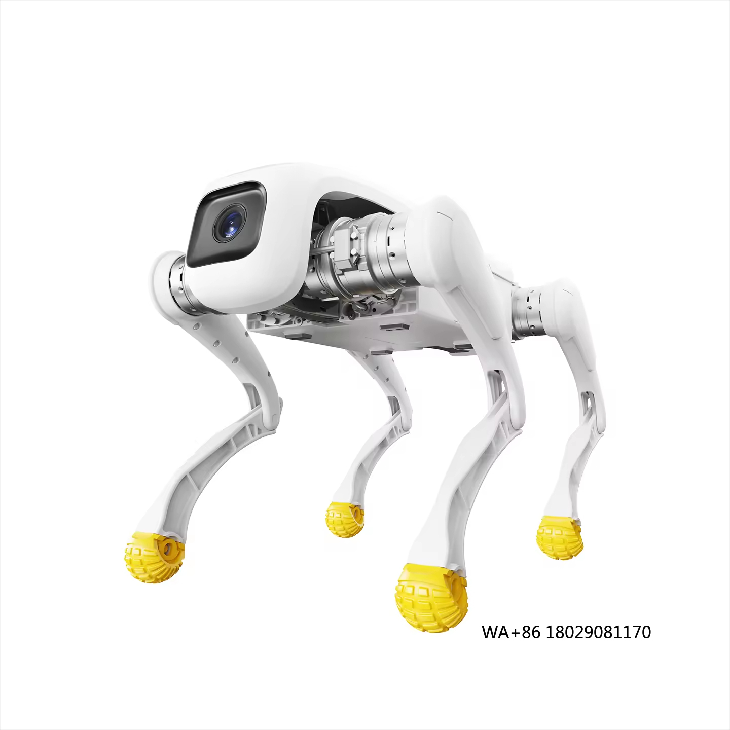 Dog Toys - Metal Yapılı, Uygulama Kontrollü ve Wi-Fi
