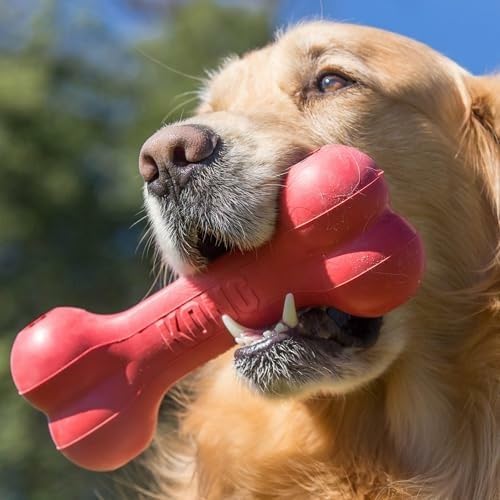 Rubber Treat Dispensing Dog Toy - Klasik Dayanıklı Doğal Kauçuk Köpek Kemiği,