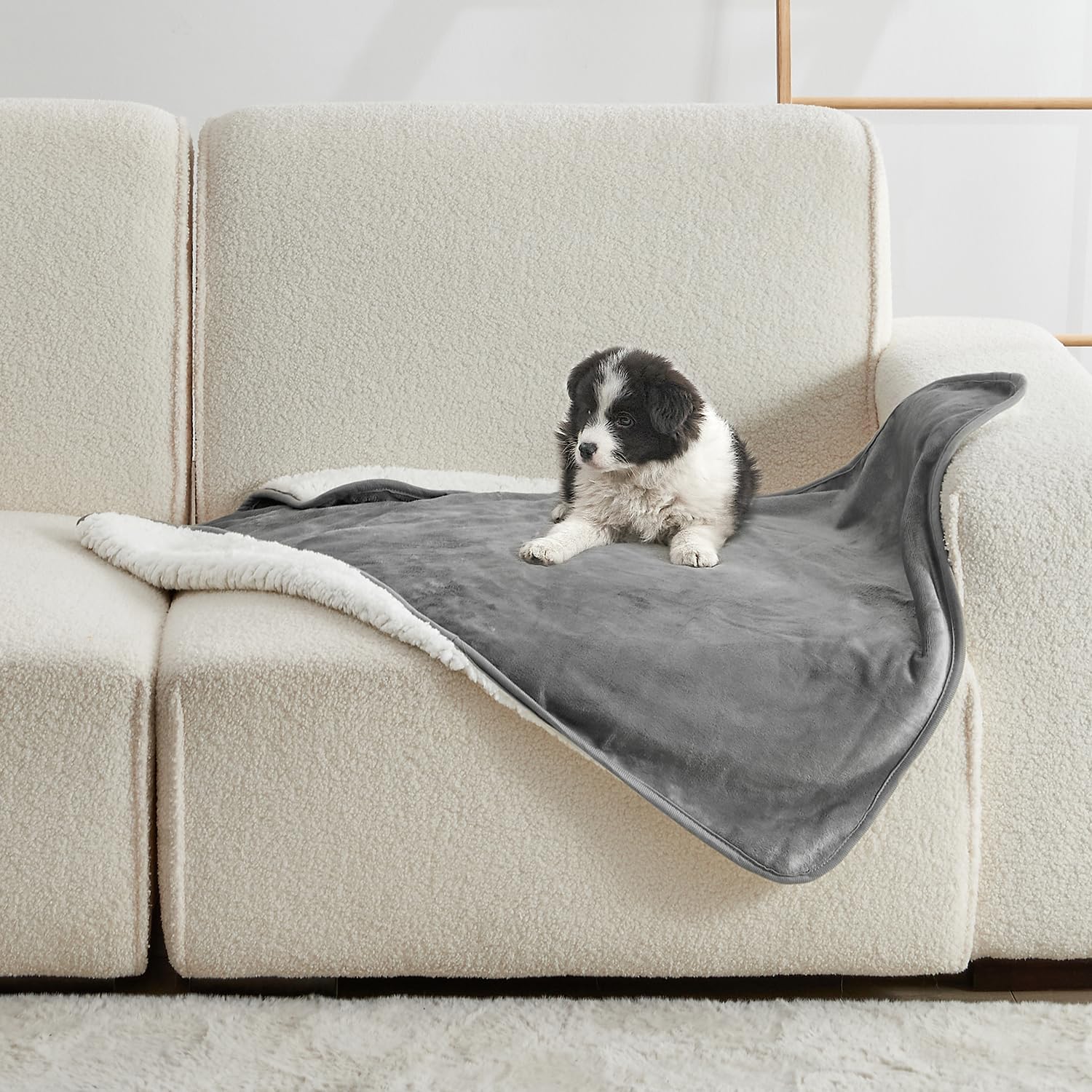 Pet Beds - Düz Renkli Evcil Hayvan Battaniyesi Rahat