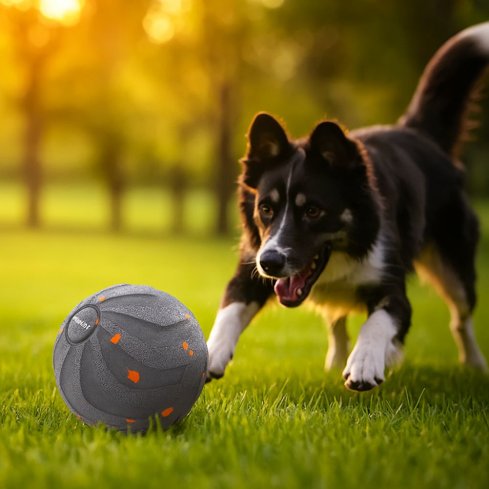 Automatic Moving Dog Ball - Isırmaya Dayanıklı Akıllı Köpek Oyuncak Topu