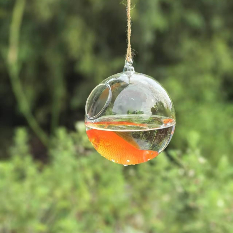 Aquarium - Küçük Paket Çapı=10cm 12cm 15cm 20cm