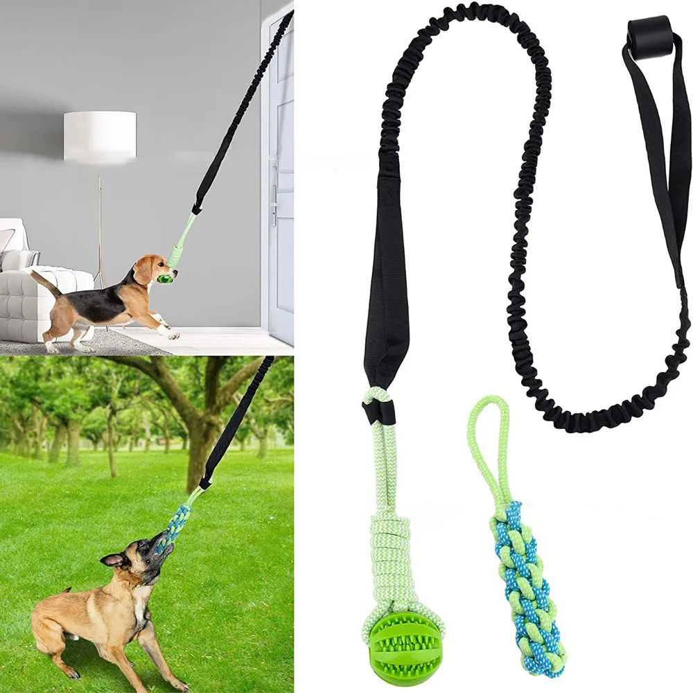 Suction Cup Dog Tug Toy - İnteraktif Köpek Oyuncak Savaş Römorkör Bahar