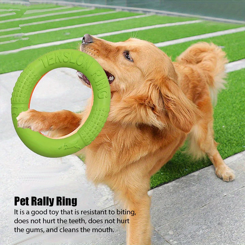 Köpek eğitim oyuncaklar açık s - Flying Disc Dog Training Toy incelemesi ve fiyatı