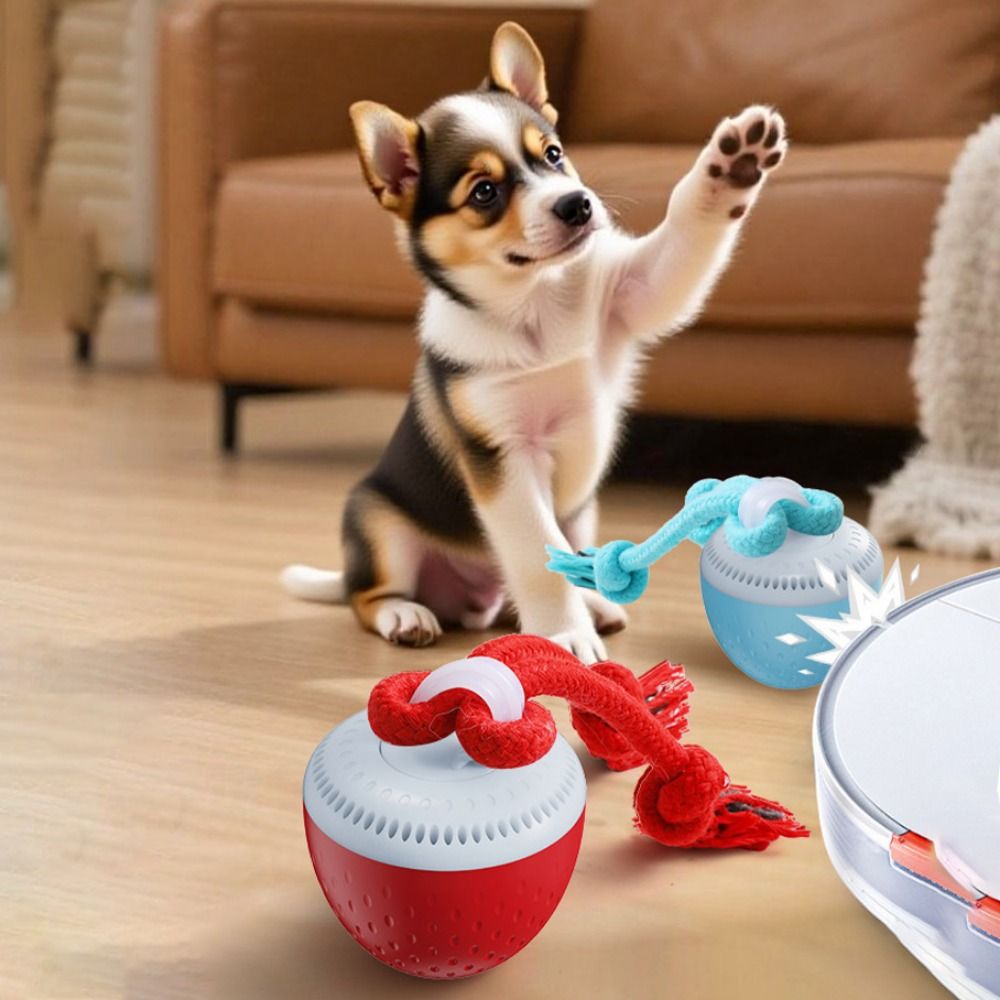 Isırmaya Dayanıklı Akıllı Evci - Automatic Moving Dog Ball incelemesi ve fiyatı