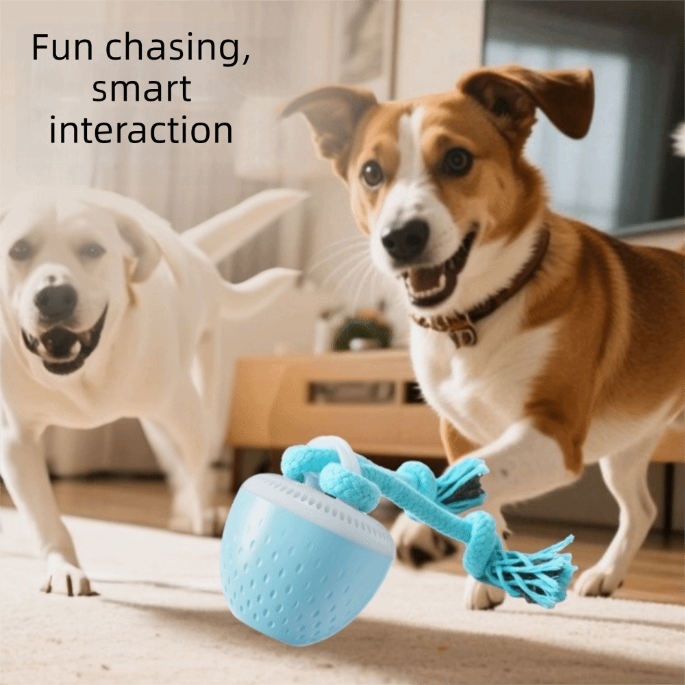 Isırmaya Dayanıklı Akıllı Evci - Automatic Moving Dog Ball incelemesi ve fiyatı