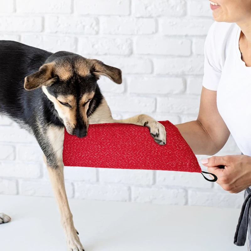 Köpek Eğitim Kollu Köpek Isırm - Interactive Squeaky Plush Dog Toy incelemesi ve fiyatı