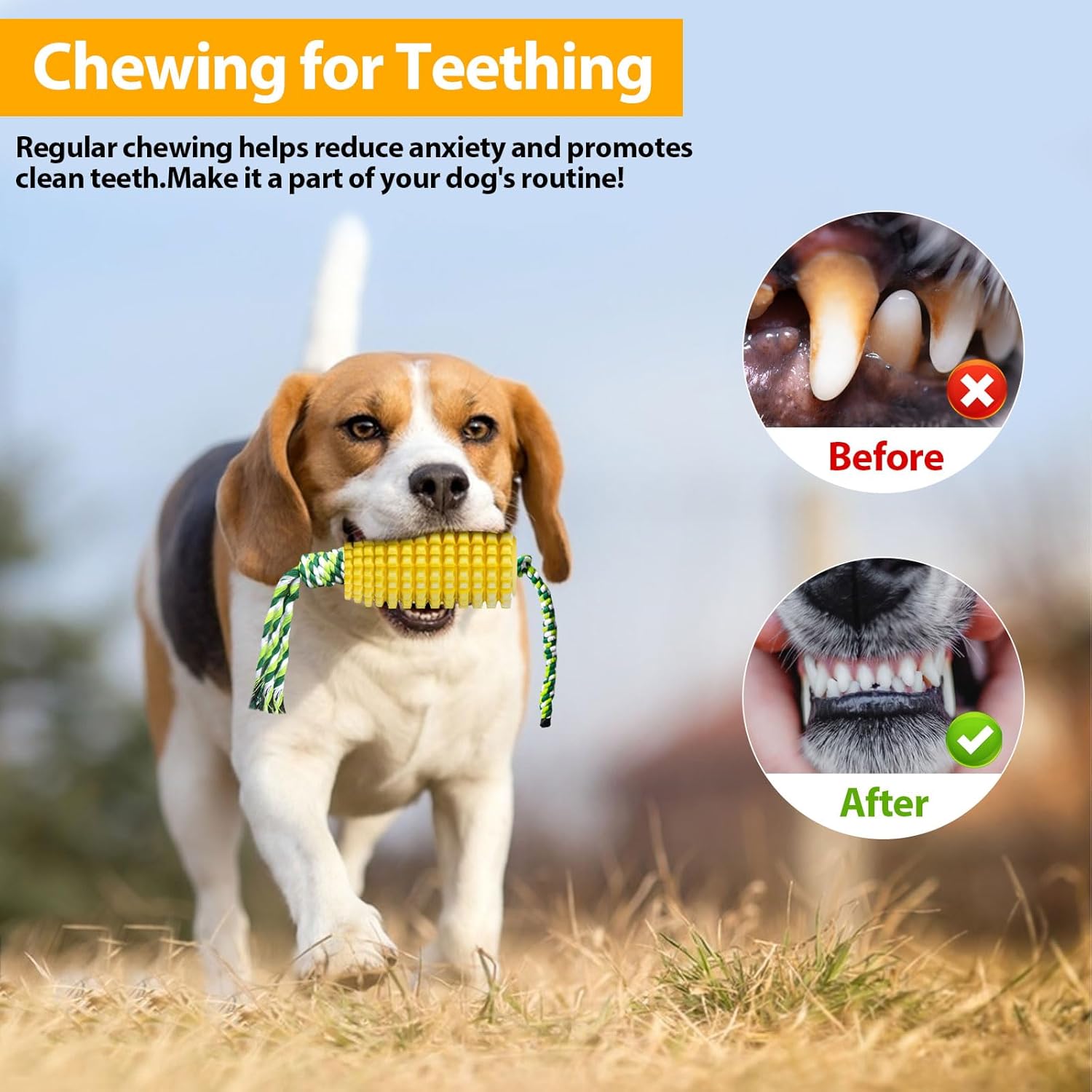 Agresif Çiğneyiciler İçin Mısı - Dog Rope Toy Aggressive Chewers incelemesi ve fiyatı