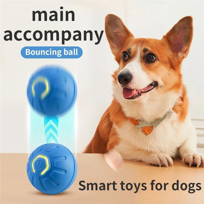 AT84-2PCS Akıllı Köpek Topu El - Automatic Moving Dog Ball incelemesi ve fiyatı