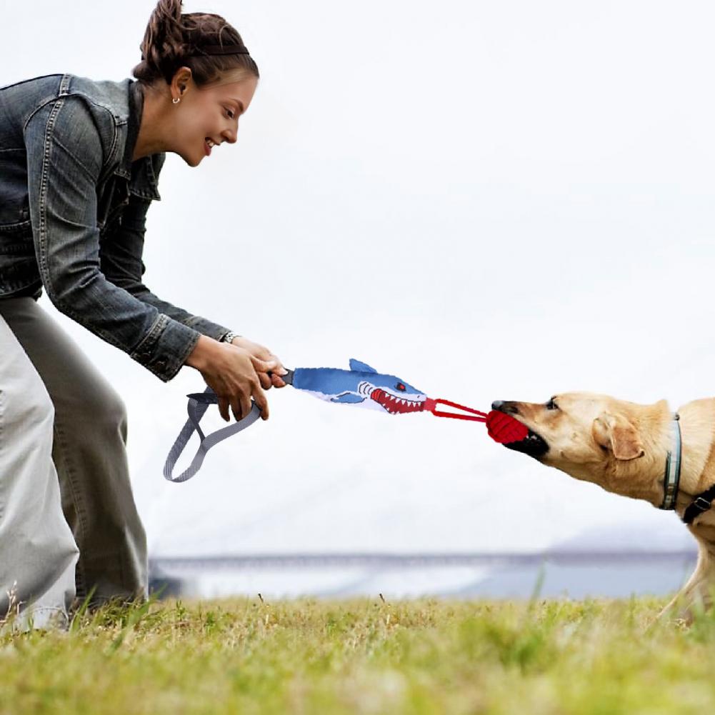 Vakumlu Tutuculu Köpek Oyuncağ - Suction Cup Dog Tug Toy incelemesi ve fiyatı