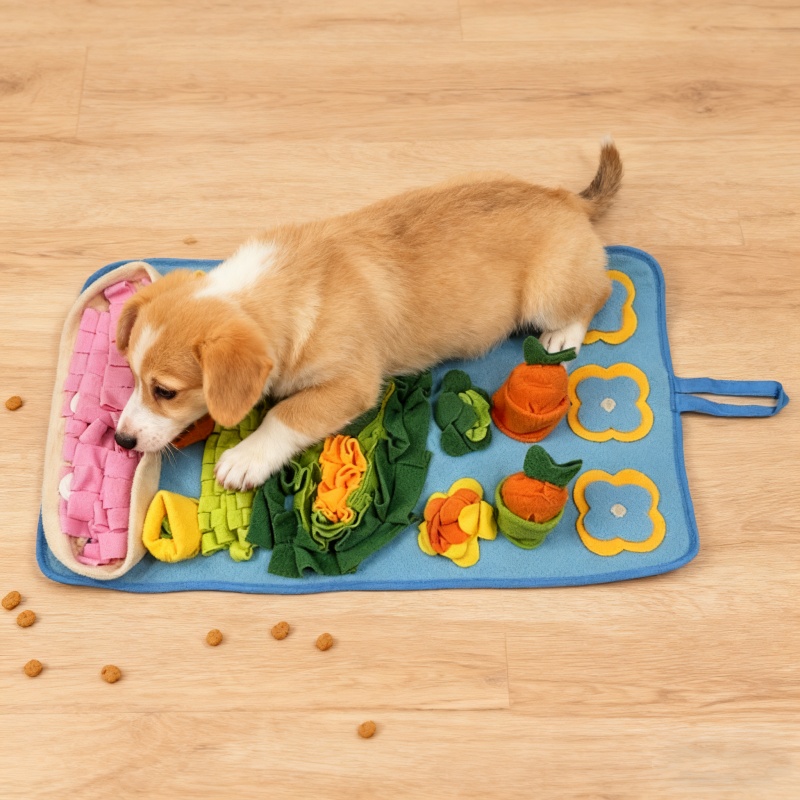 Köpekler İçin Burun Eğitimi Oy - Snuffle Mat For Dogs incelemesi ve fiyatı