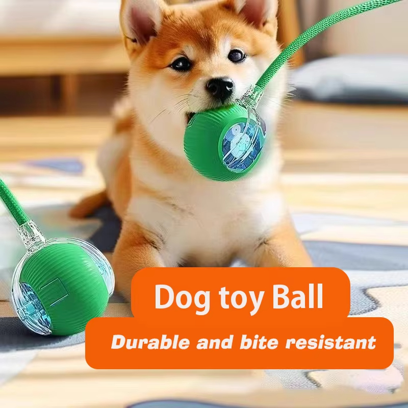 Yeni Köpek İnteraktif Top Oyun - Automatic Moving Dog Ball incelemesi ve fiyatı