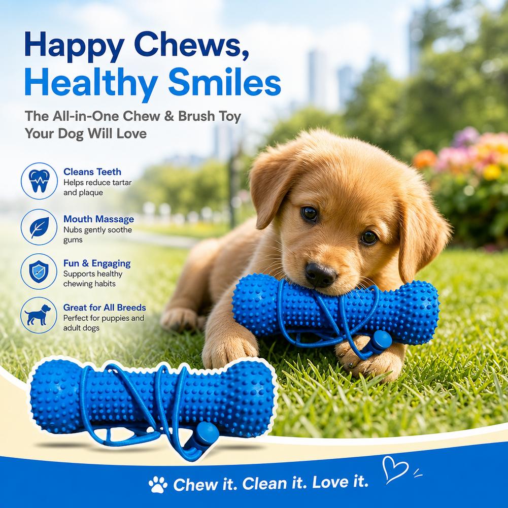 Köpek Diş Temizleme Çiğneme Oy - Teeth Cleaning Dog Chew Bone incelemesi ve fiyatı