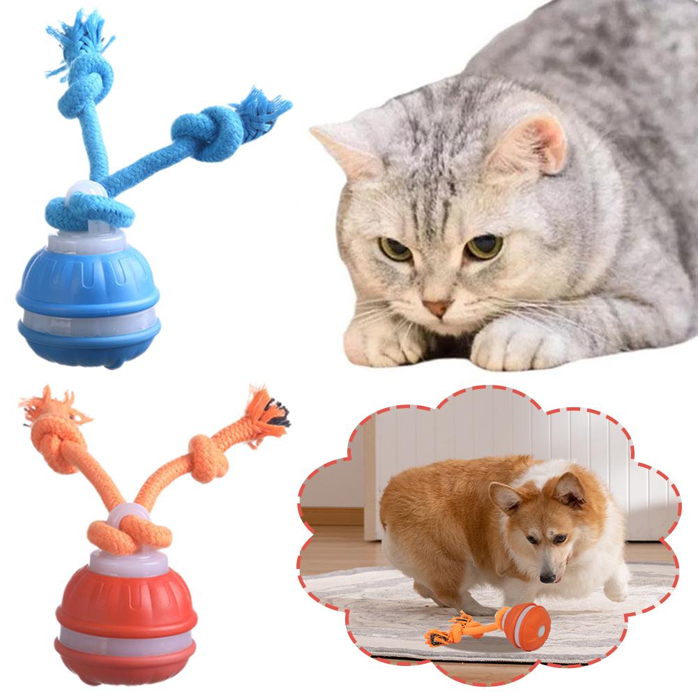 Akıllı Şarj Edilebilir Köpek T - Automatic Moving Dog Ball incelemesi ve fiyatı