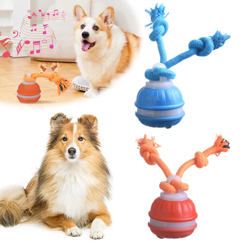 Akıllı Şarj Edilebilir Köpek T - Automatic Moving Dog Ball incelemesi ve fiyatı
