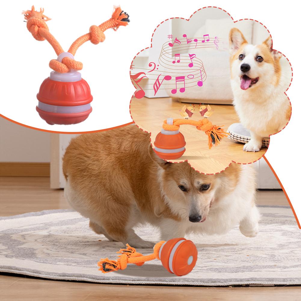 Akıllı Şarj Edilebilir Köpek T - Automatic Moving Dog Ball incelemesi ve fiyatı
