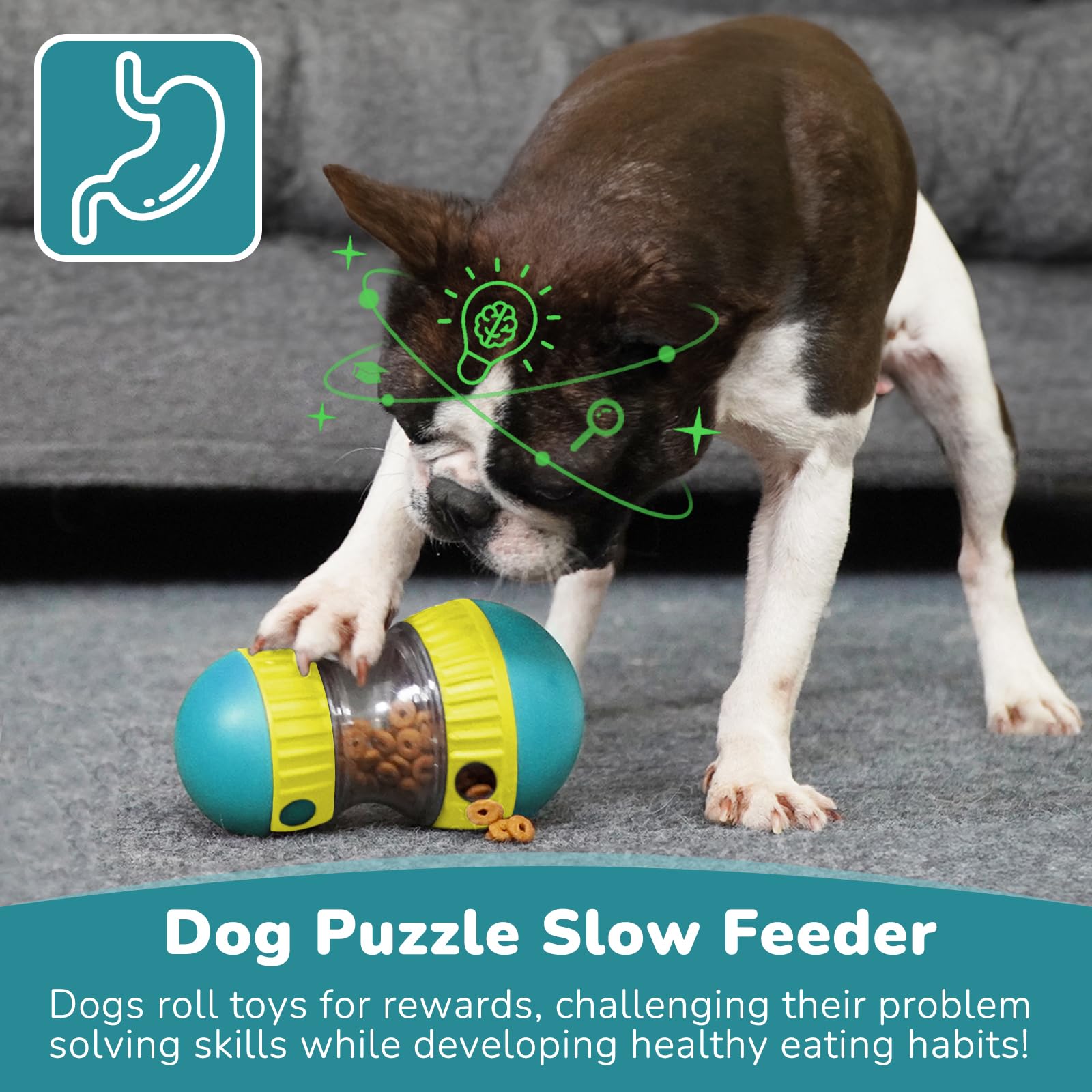 Köpek Oyuncakları ve Ayarlanab - Dog Puzzle Feeder Toy incelemesi ve fiyatı