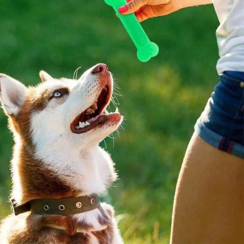Süper Sert Köpek Kemik Çiğneme - Teeth Cleaning Dog Chew Bone incelemesi ve fiyatı
