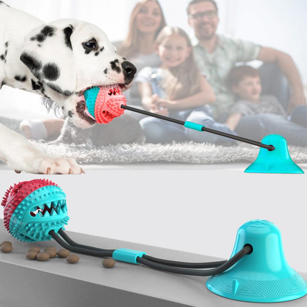 Agresif Çiğneme Oyuncakları iç - Rubber Treat Dispensing Dog Toy incelemesi ve fiyatı