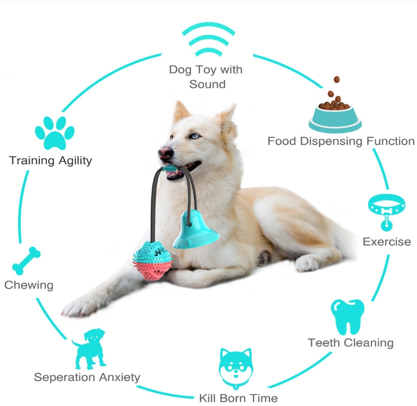 Agresif çiğneyiciler için köpe - Rubber Treat Dispensing Dog Toy incelemesi ve fiyatı