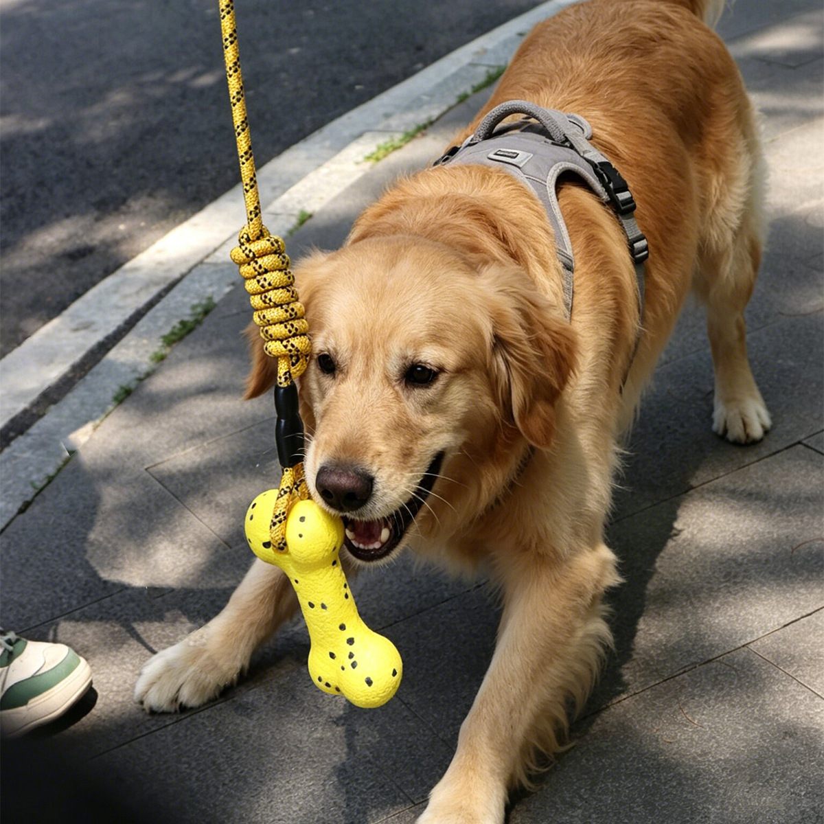Ağır Hizmet Tipi Köpek Çekme O - Dog Rope Toy Aggressive Chewers incelemesi ve fiyatı