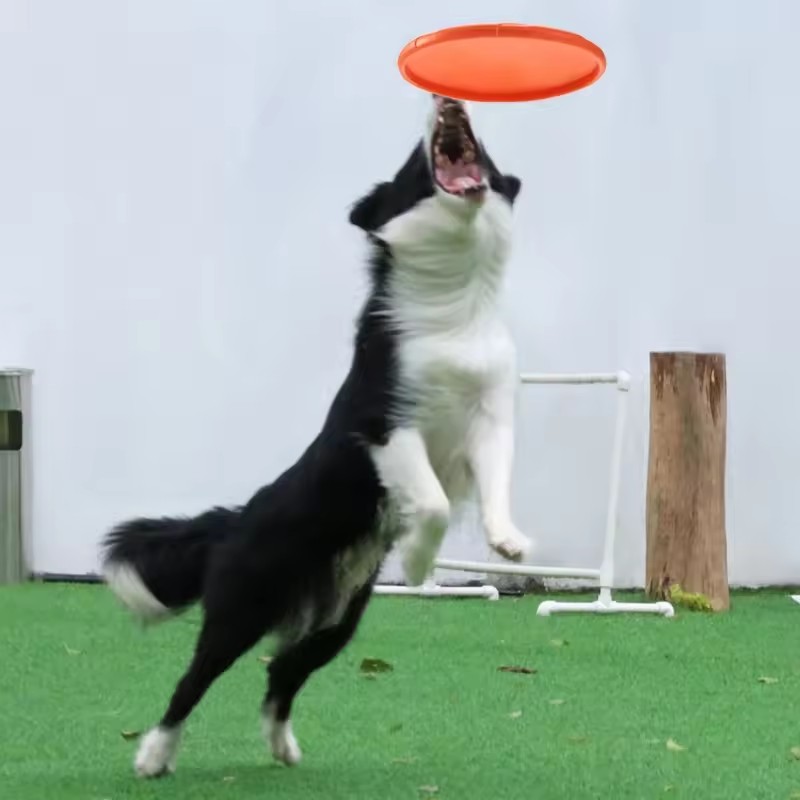 Etkileşimli Silikon Uçan Disk  - Flying Disc Dog Training Toy incelemesi ve fiyatı