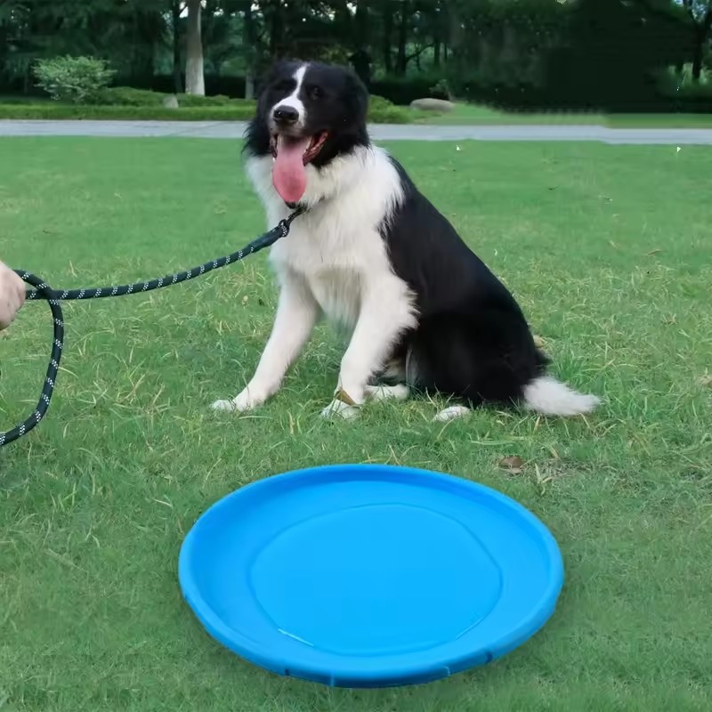Etkileşimli Silikon Uçan Disk  - Flying Disc Dog Training Toy incelemesi ve fiyatı