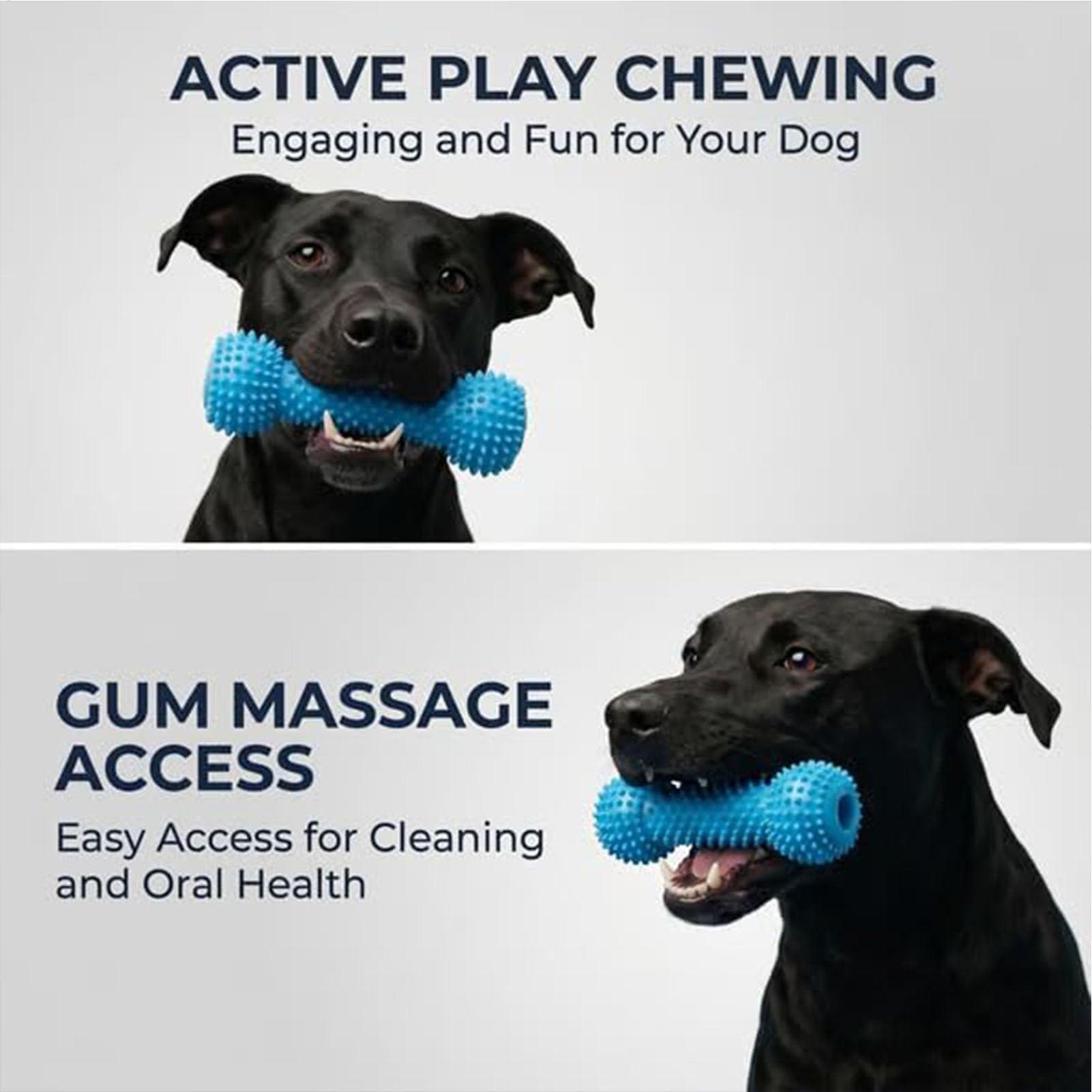 Köpek Diş Fırçalama Oyuncaklar - Rubber Treat Dispensing Dog Toy incelemesi ve fiyatı