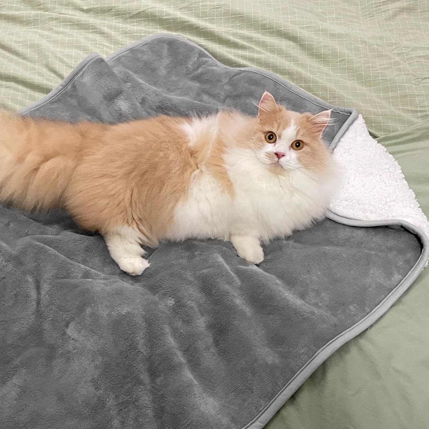 Düz Renkli Evcil Hayvan Battan - Pet Beds incelemesi ve fiyatı