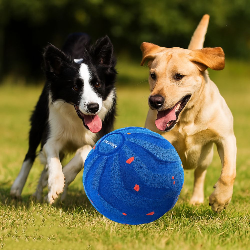 Isırmaya Dayanıklı Akıllı Köpe - Automatic Moving Dog Ball incelemesi ve fiyatı