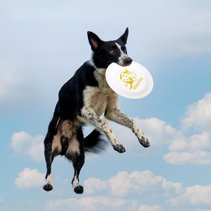 OUZEY Bite dayanıklı Pet eğiti - Flying Disc Dog Training Toy incelemesi ve fiyatı