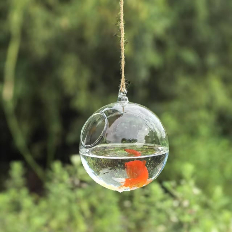 Küçük Paket Çapı=10cm 12cm 15c - Aquarium incelemesi ve fiyatı