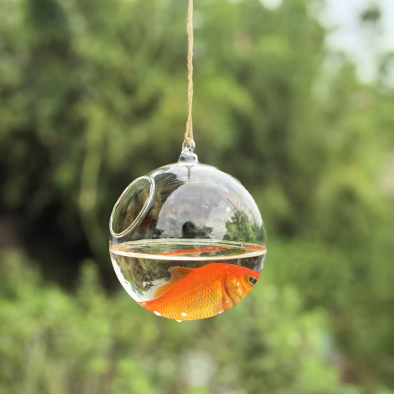 Küçük Paket Çapı=10cm 12cm 15c - Aquarium incelemesi ve fiyatı