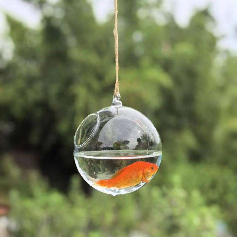 Küçük Paket Çapı=10cm 12cm 15c - Aquarium incelemesi ve fiyatı