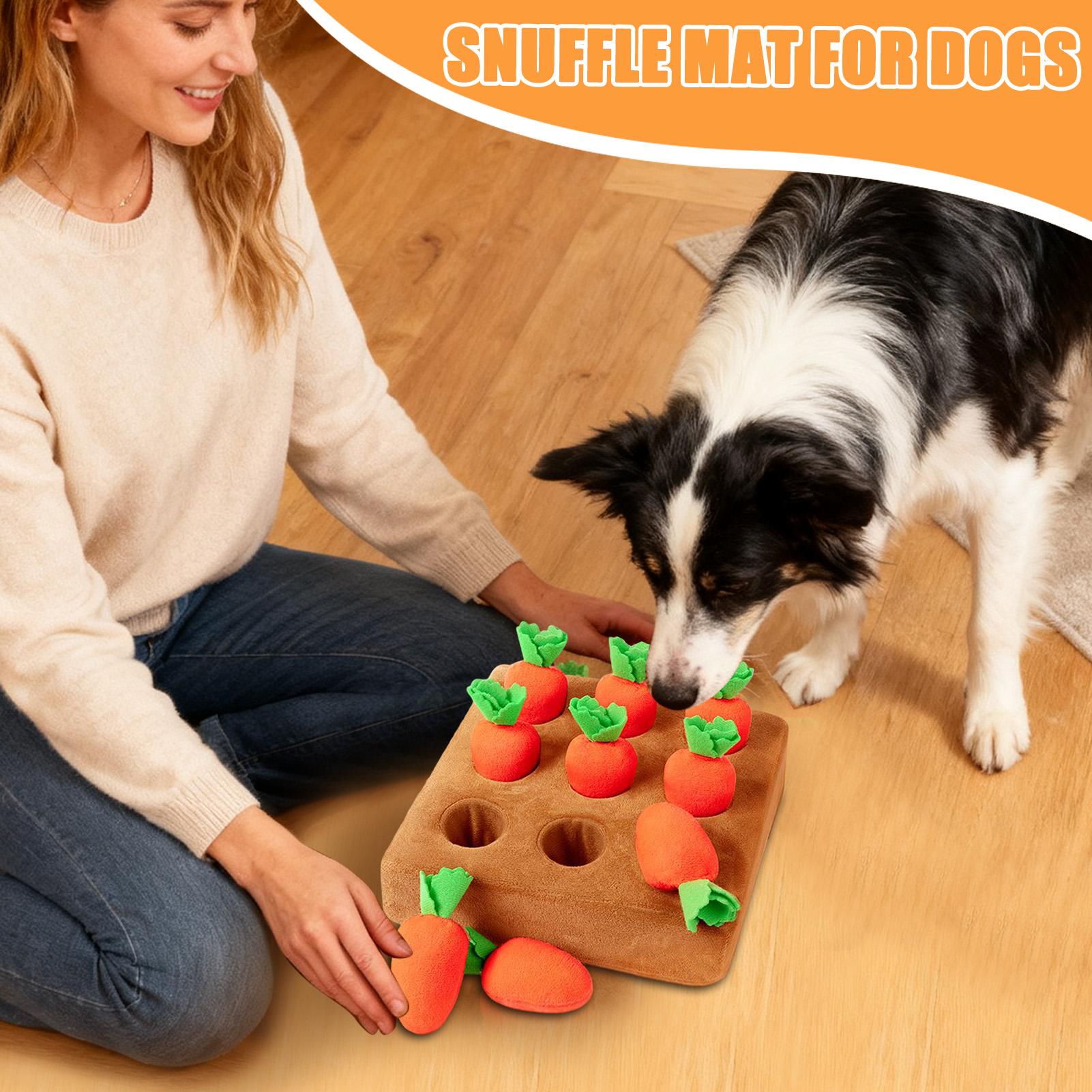 Yavru Köpekler için Snuffle Ma - Snuffle Mat For Dogs incelemesi ve fiyatı