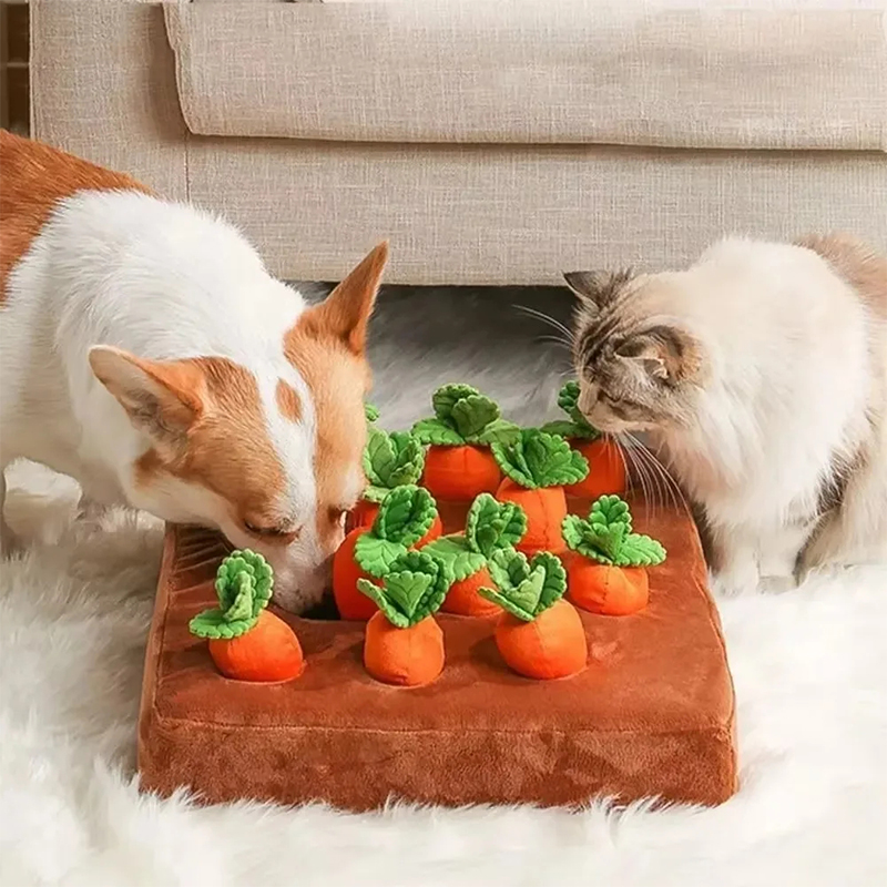 Köpekler için Snuffle Matı İnt - Snuffle Mat For Dogs incelemesi ve fiyatı
