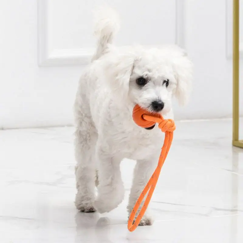 Köpek eğitim topu halat pamuk  - Suction Cup Dog Tug Toy incelemesi ve fiyatı