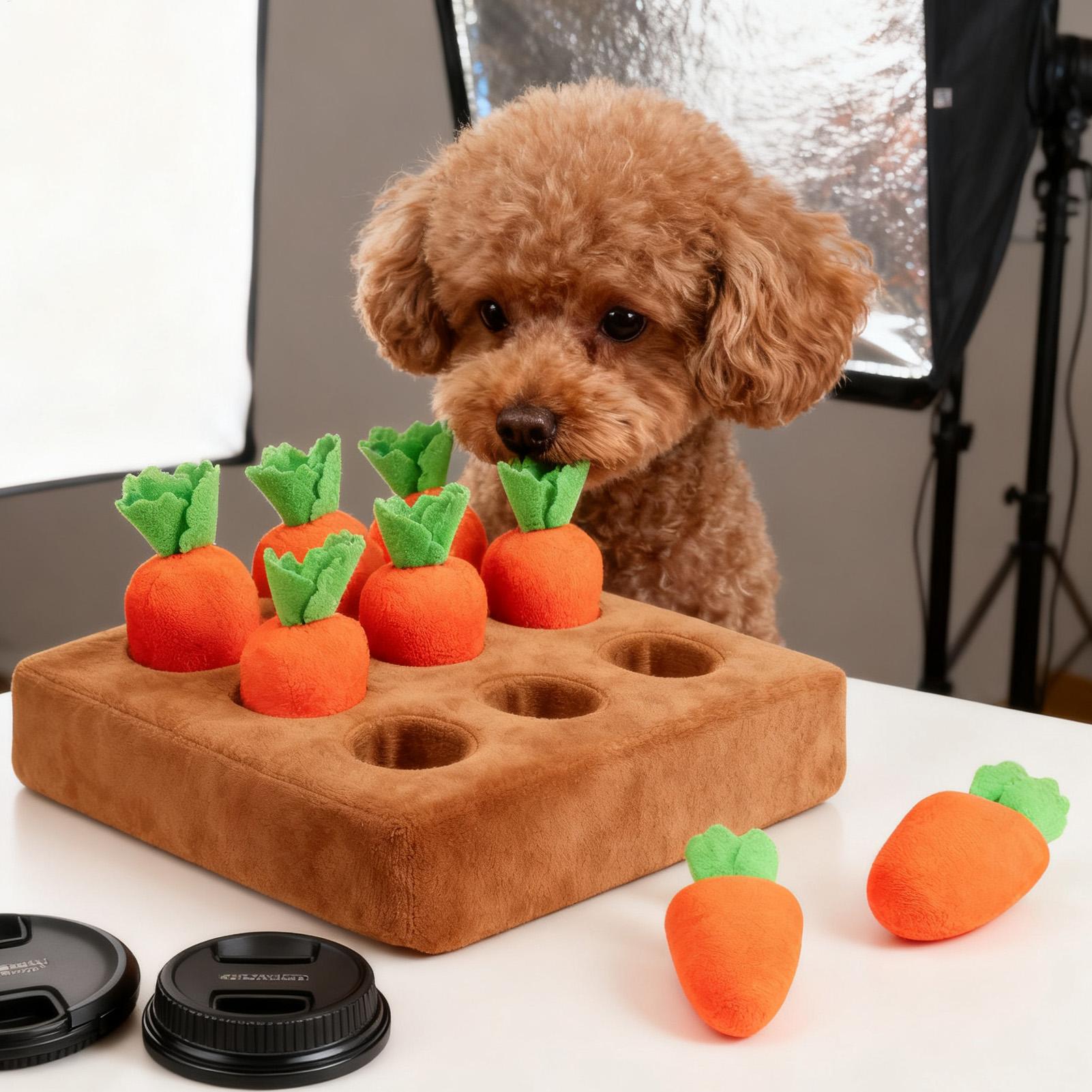 Evcil Hayvanlar İçin Etkileşim - Snuffle Mat For Dogs incelemesi ve fiyatı