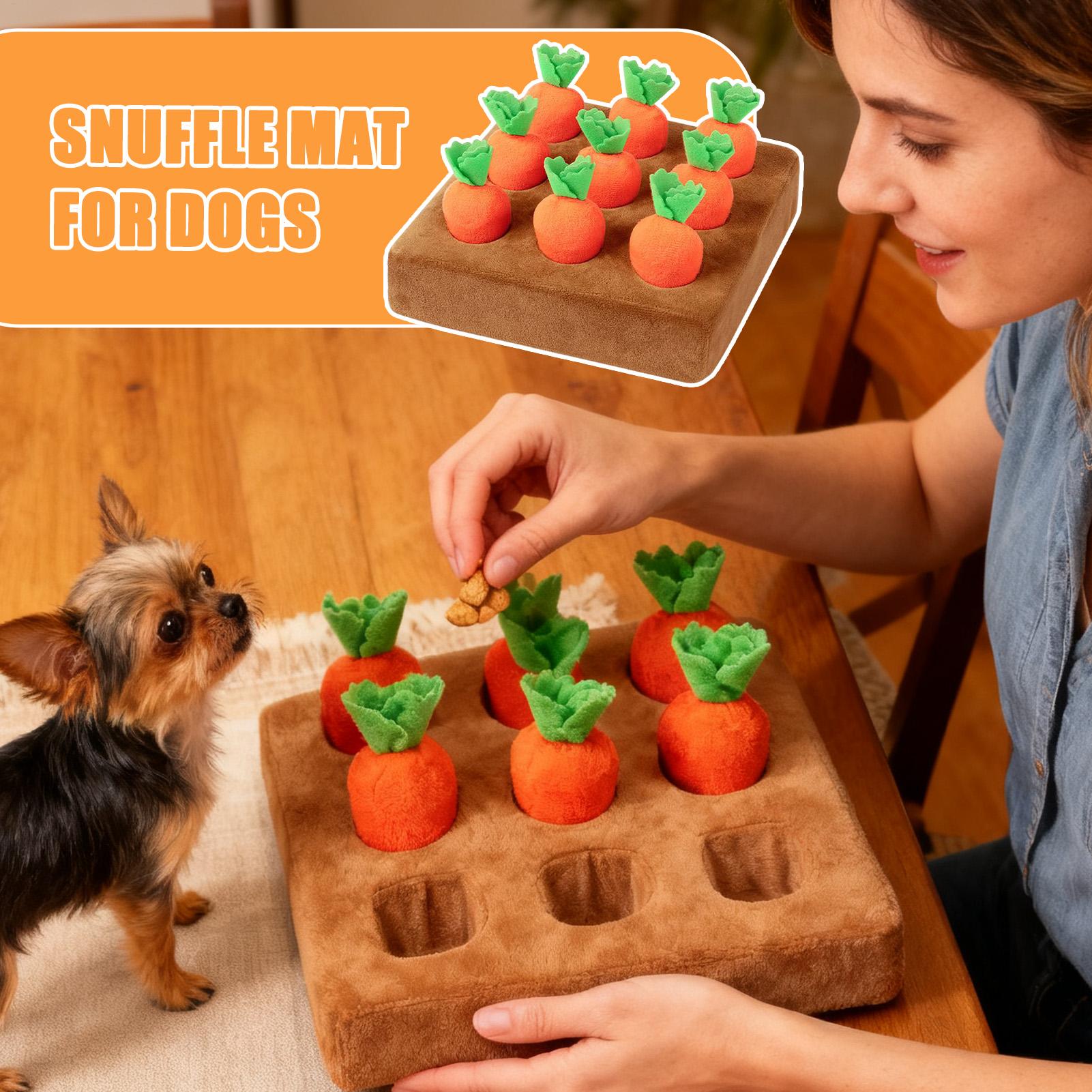 Evcil Hayvanlar İçin Etkileşim - Snuffle Mat For Dogs incelemesi ve fiyatı