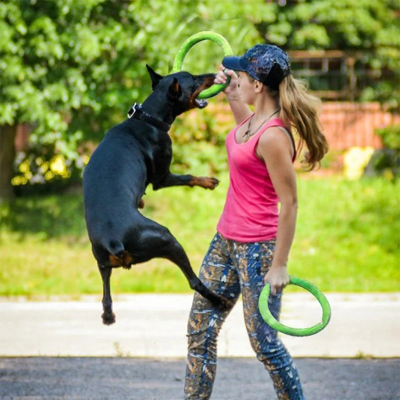 Köpek oyuncaklar Pet uçan disk - Suction Cup Dog Tug Toy incelemesi ve fiyatı