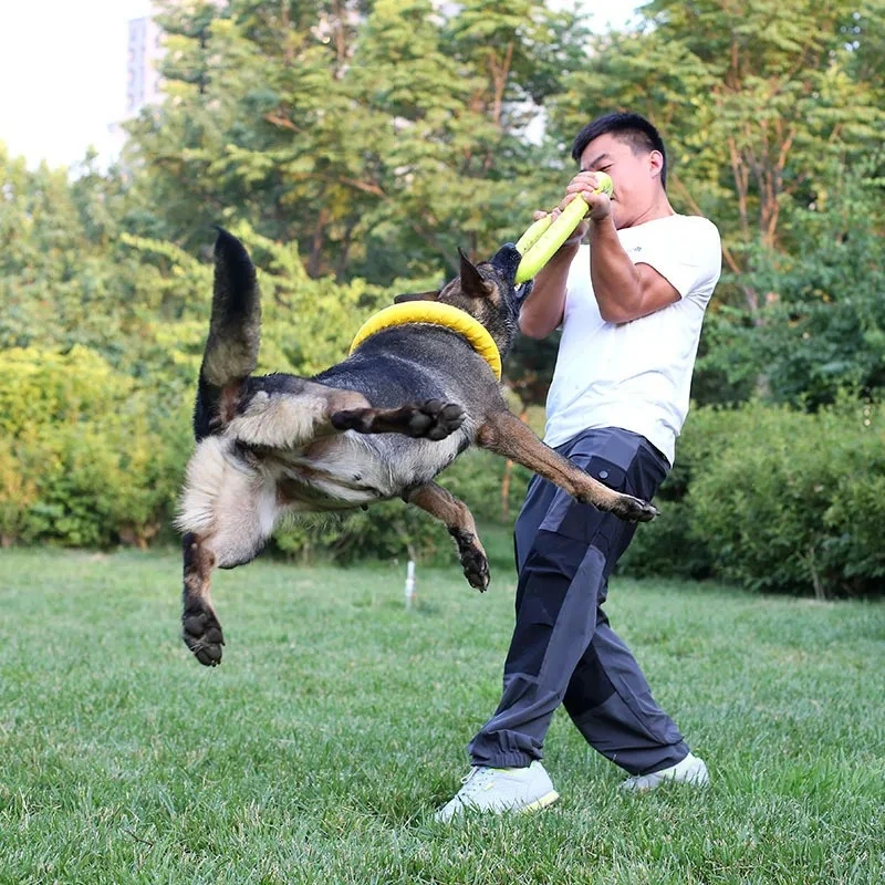 Köpek Oyuncakları Evcil Hayvan - Flying Disc Dog Training Toy incelemesi ve fiyatı