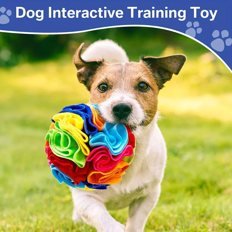 Etkileşimli Köpek Oyuncakları, - Snuffle Mat For Dogs incelemesi ve fiyatı