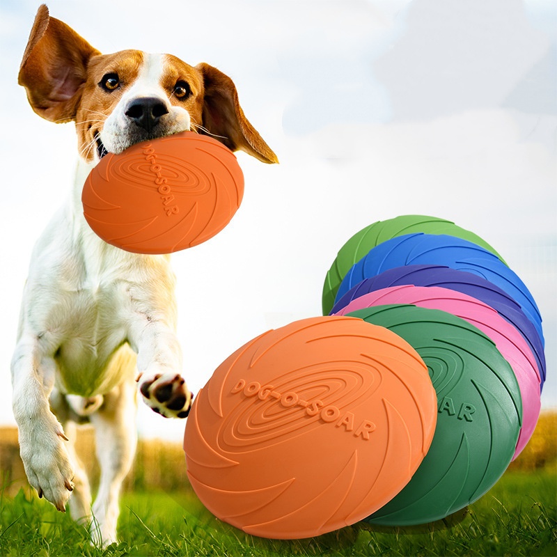 Köpekler ve Kediler için İnter - Flying Disc Dog Training Toy incelemesi ve fiyatı