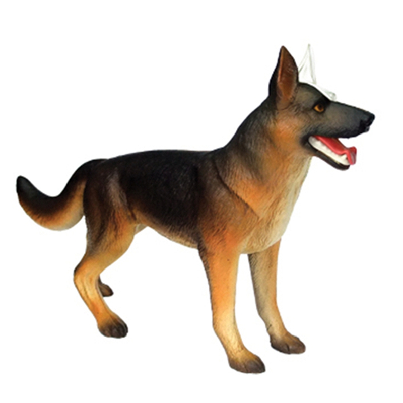 Hayvan Organ Anatomisi Modeli  - Dog Toys incelemesi ve fiyatı