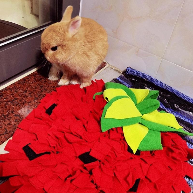 Büyük Boy Snuffle Mat Evcil Kö - Snuffle Mat For Dogs incelemesi ve fiyatı