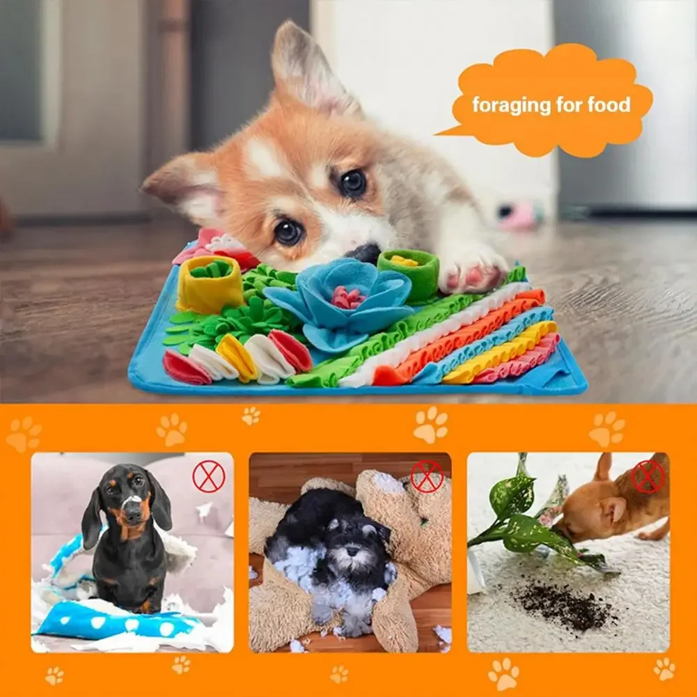 Köpekler için Kokulu Eğitim Oy - Snuffle Mat For Dogs incelemesi ve fiyatı
