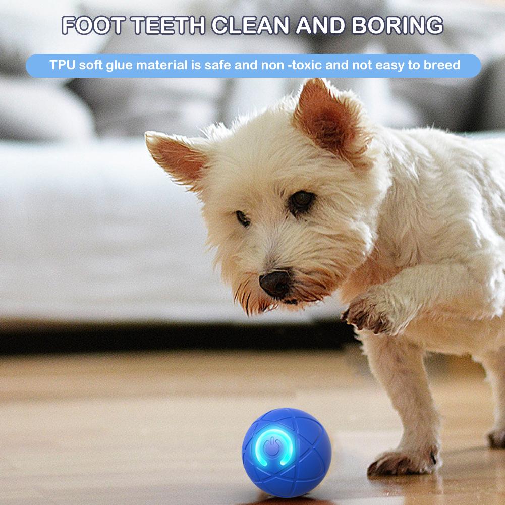 Elektronik İnteraktif Evcil Ha - Automatic Moving Dog Ball incelemesi ve fiyatı