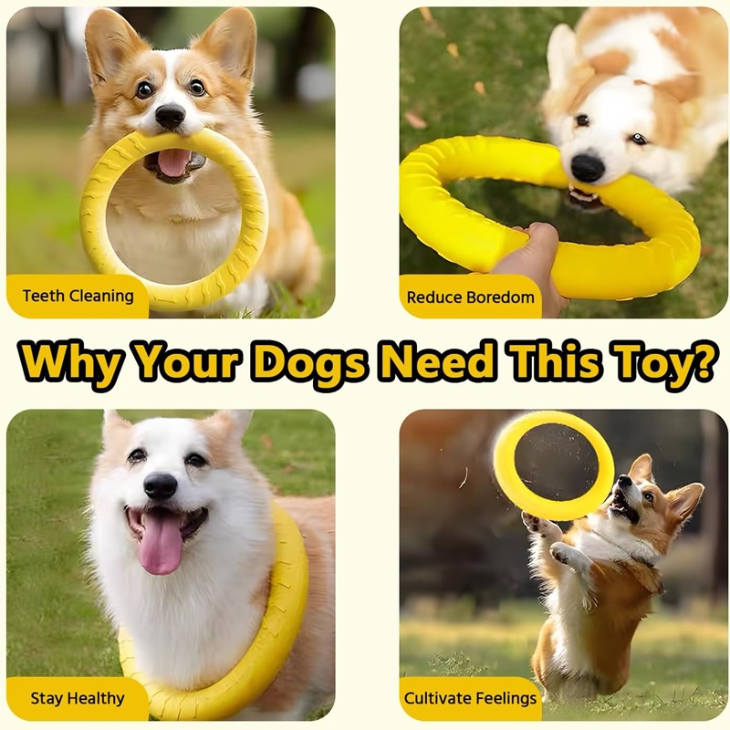 Köpek Oyuncakları Evcil Hayvan - Suction Cup Dog Tug Toy incelemesi ve fiyatı