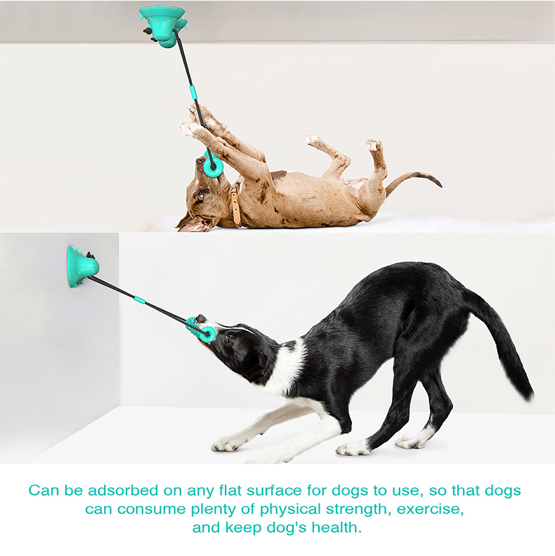 Çift Vakumlu Bardaklı Köpek Çe - Dog Rope Toy Aggressive Chewers incelemesi ve fiyatı